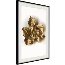 Arkiio Affisch Golden Maple [Poster] 20x30 Poster